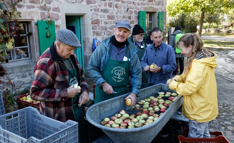 Pressage de jus de pomme