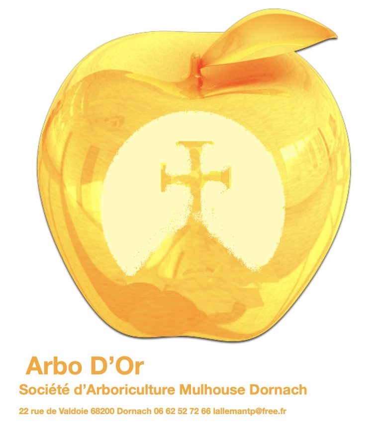 Arbo d’Or – Mulhouse Dornach