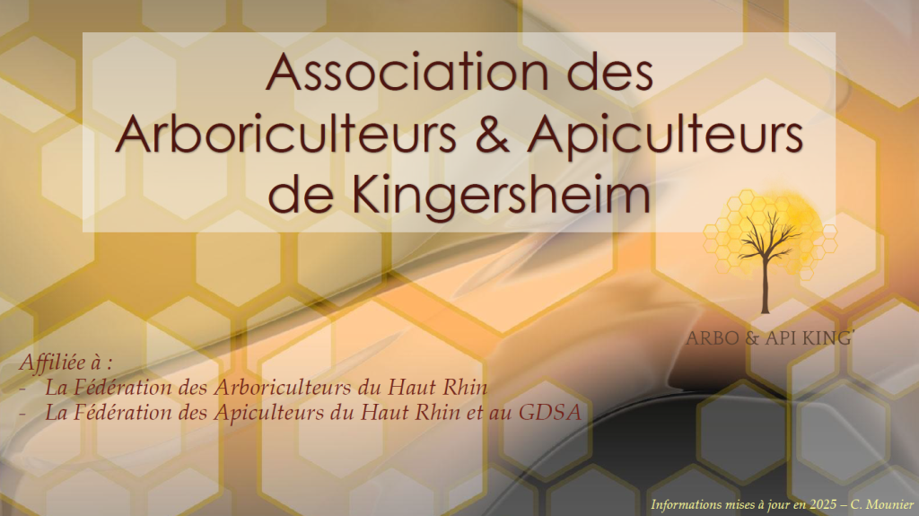 Découvrez l’association de Kingersheim