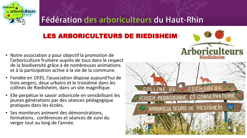 Découvrez l’association de Riedisheim