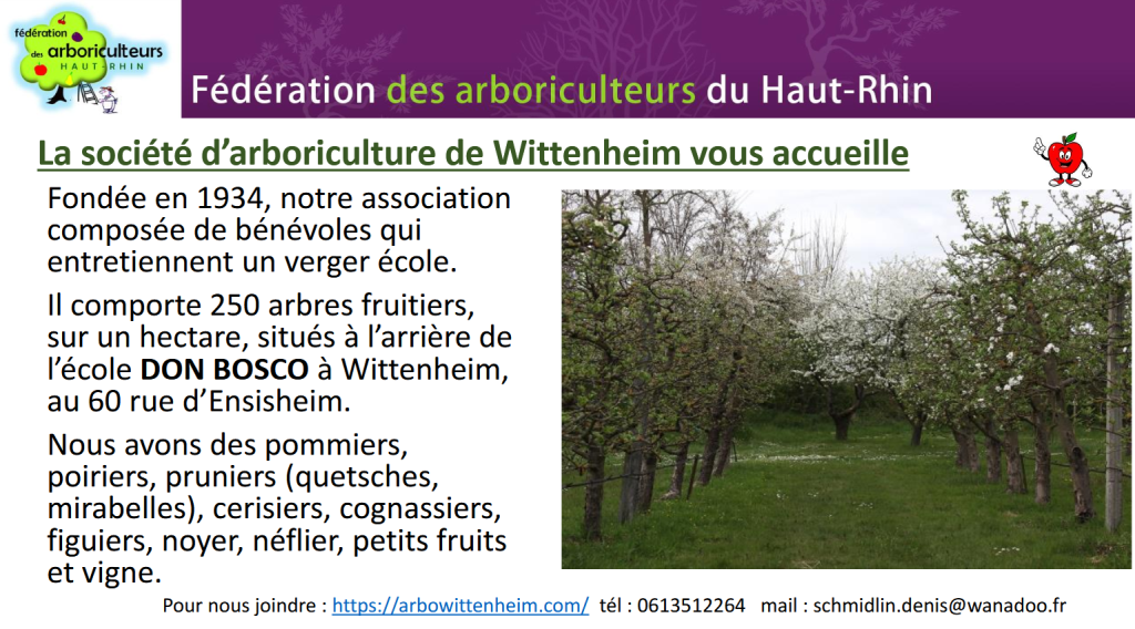 Découvrez l’association de Wittenheim