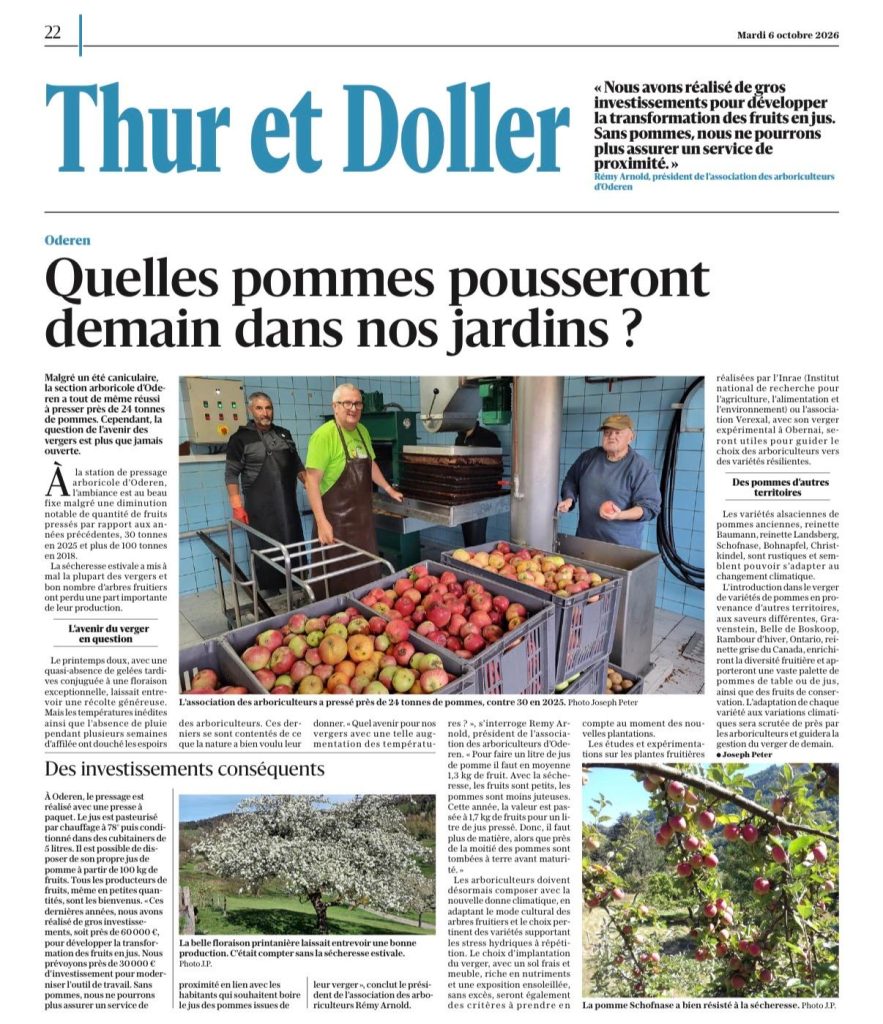 « Les fruits sont petits, les pommes moins juteuses » : les arboriculteurs face aux effets de la sécheresse